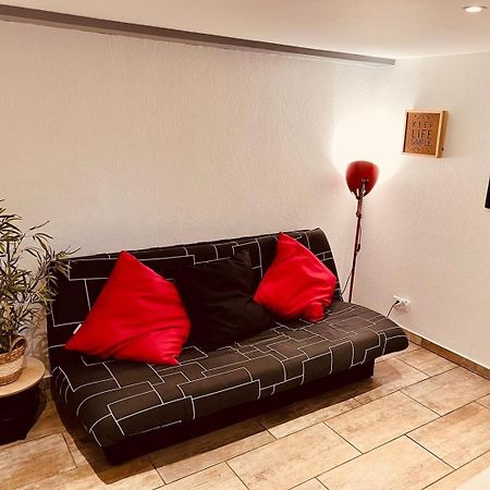Apartmán Le Camille Charming With Garden 5 Min Chu Poitiers Exteriér fotografie